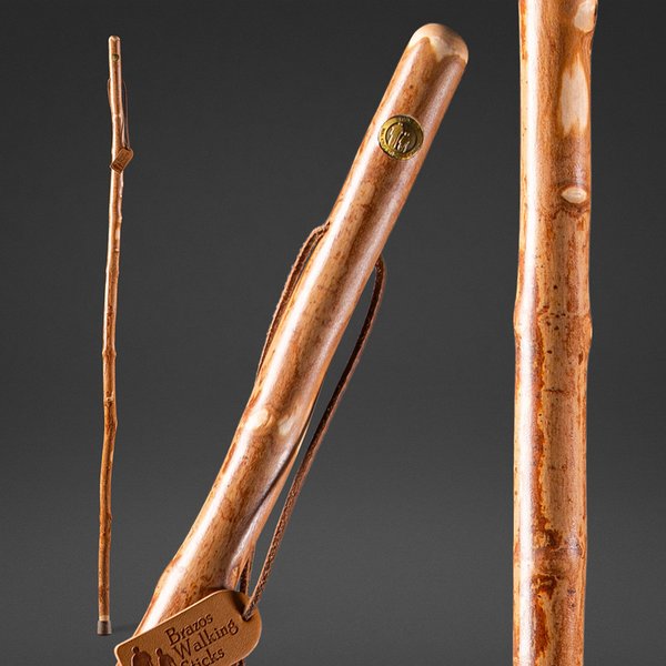 Walking Stick, Free-Form, Maple, 55