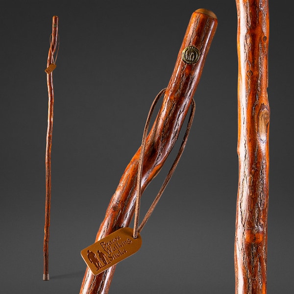 Walking Stick, Free-Form, Sassafras, 55