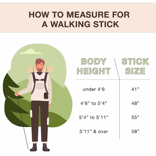 Walking Stick, Free-Form, Sassafras, 55