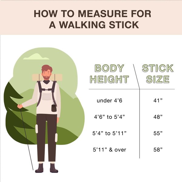 Walking Stick, Free-Form, Maple, 55