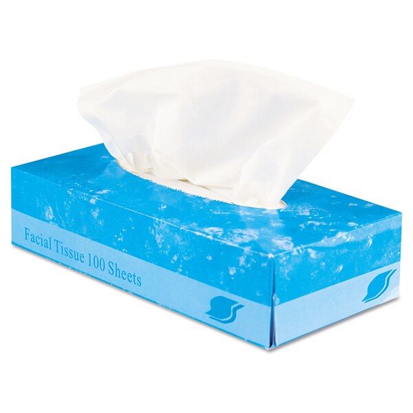 2 Ply Tissues, 100/Box Sheets, PK 30