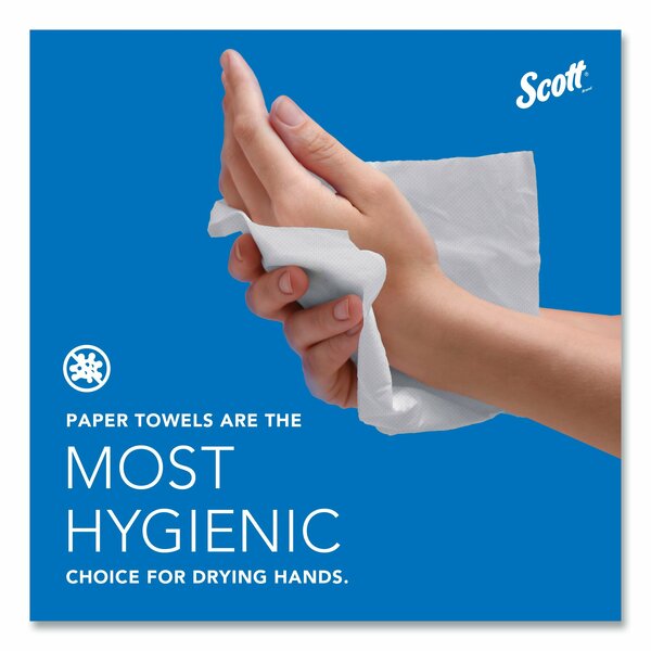 Hardwound Roll Towel Towels & Wipes, 1, White, 12 PK