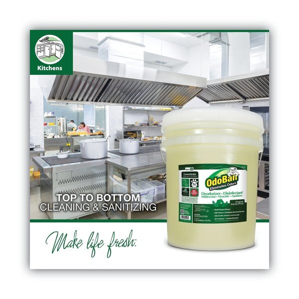 Concentrated Odor Eliminator and Disinfectant, Eucalyptus, 5 gal Pail