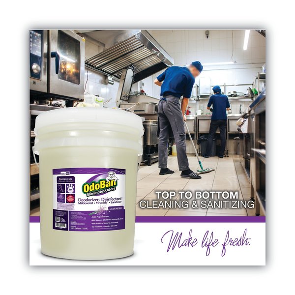 Concentrated Odor Eliminator/Disinfectant, Lavender Scent, 5 gal Pail