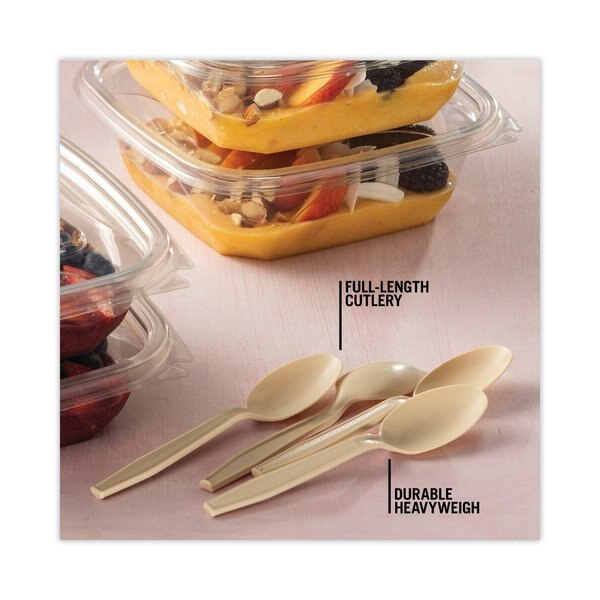 EarthChoice PSM Cutlery, Heavyweight, Spoon, 5.88 in, Tan, PK1000