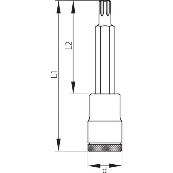 Screwdriver Bit Socket, 1/2