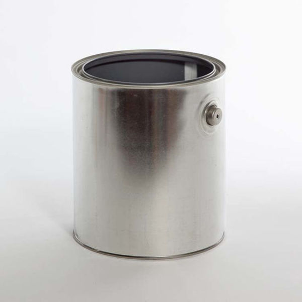 Lined Paint w/Plug, Ears, Tin Gray, 1 gal.