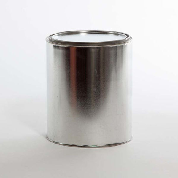 Tin Unlined Paint w/Plug, 1 gal.
