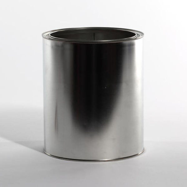Tin Unlined Paint, 1 gal.