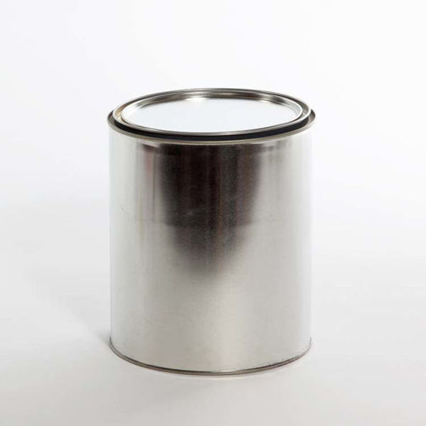 Lined Paint w/Plug, Tin Gray, 1 gal.