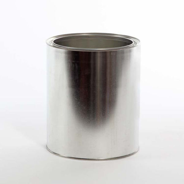 Tin Unlined Paint, 1 gal.