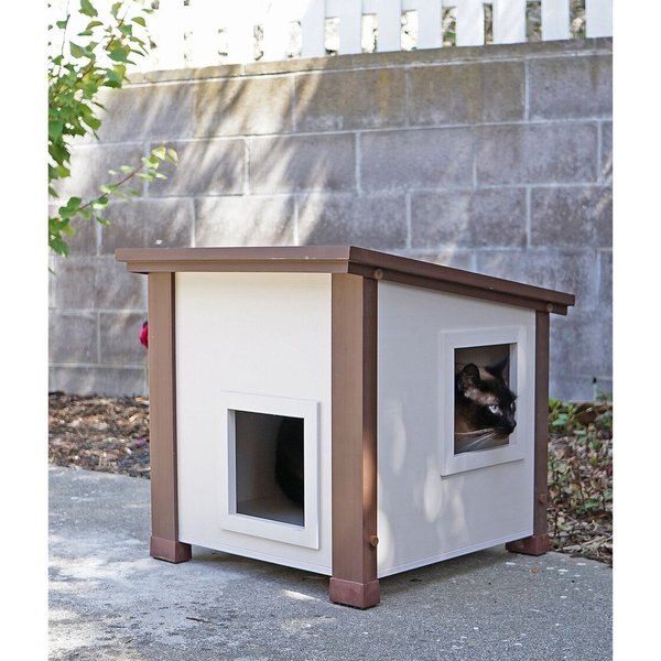 Pet Albany Feral Cat Shelter