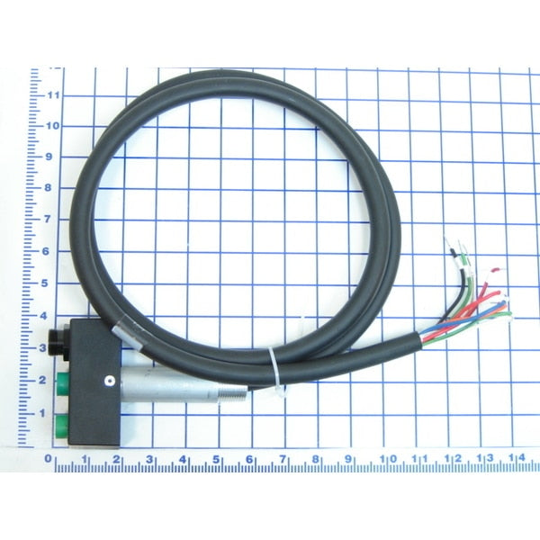 Wire Harnesses, Harness