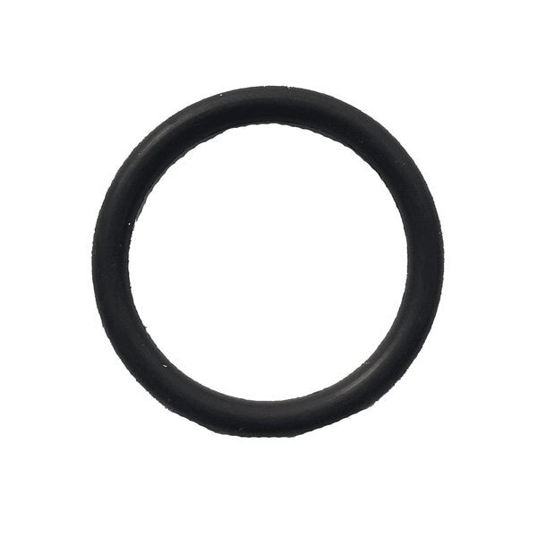 Radial Window O-Ring