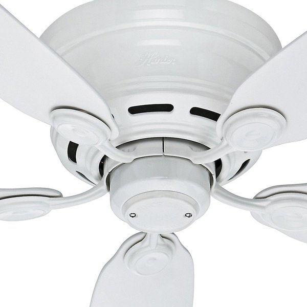 Decorative Ceiling Fan, 42
