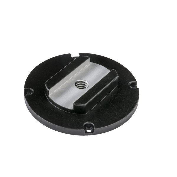 Back Adjustable