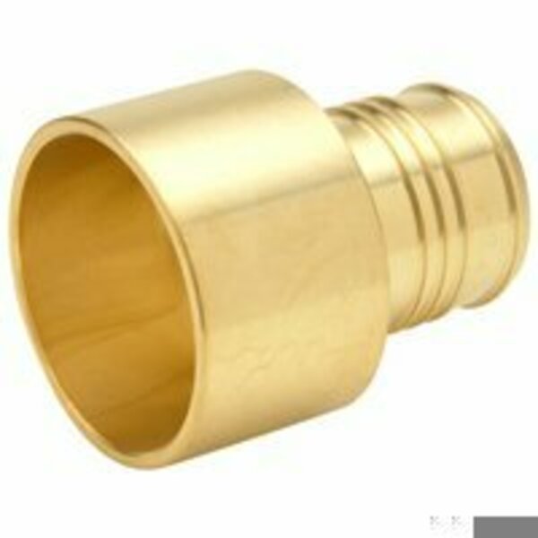 Adapter, Low Lead Brass, 1-1/4