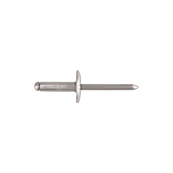 Blind Rivet, Large Flanged Head, 3/16 in Dia., 21/32 in L, Steel Body