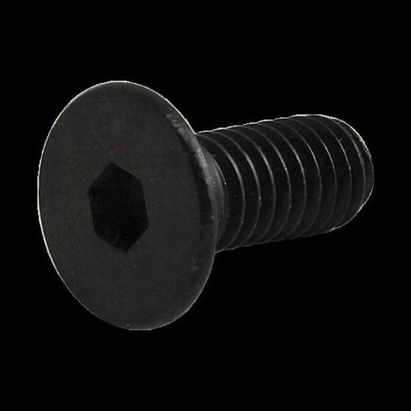 M4-0.70 Socket Head Cap Screw, Black Oxide Steel, 10 mm Length