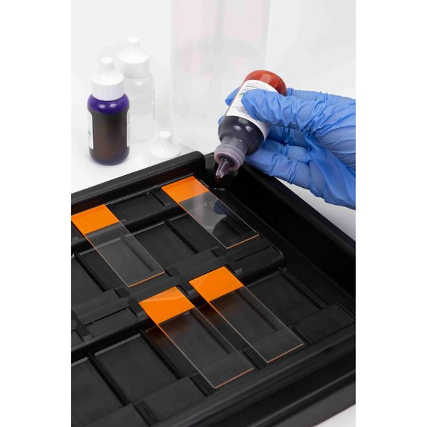 Slide Staining Tray Set, Black, 18 Place