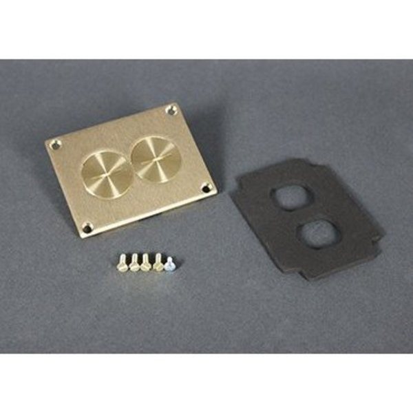 Duplex Cover Plate, Brown, Brass