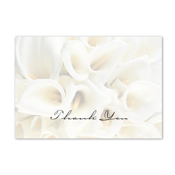 Thank You Card W/Envelope, White Ca, PK50