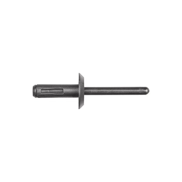 Blind Rivet, Flanged Head, 1/4 in Dia., Nylon Body