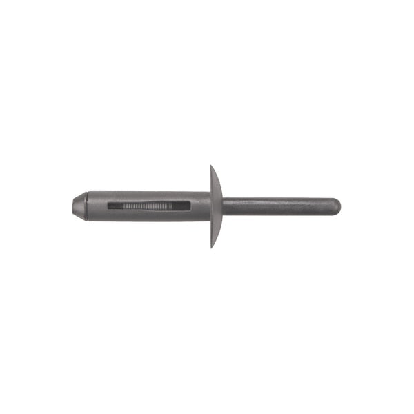 Blind Rivet, Flanged Head, 1/4 in Dia., Nylon Body
