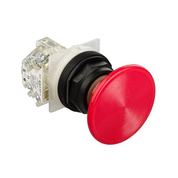 PUSHBUTTON 600VAC 10AMP 30MM SK OPTIONS