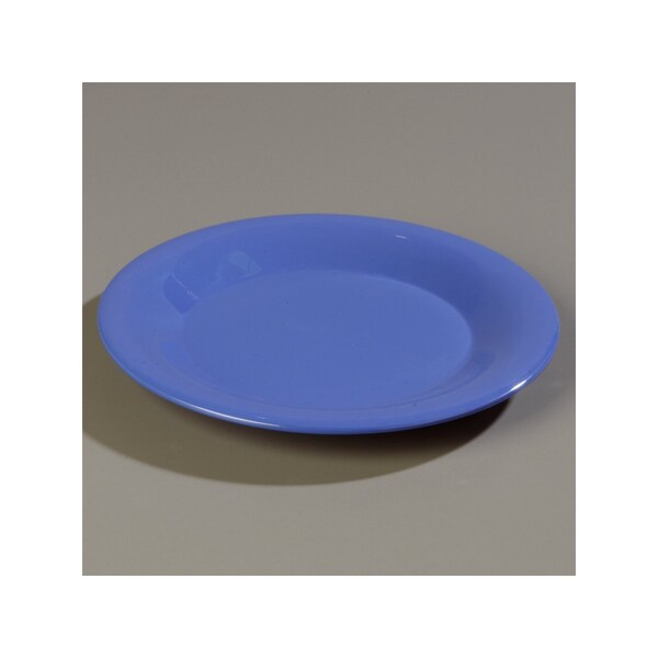 Wide Rim Dinner Plate, 9