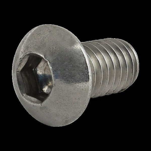 M6-1.00 Socket Head Cap Screw, Plain Stainless Steel, 10 mm Length