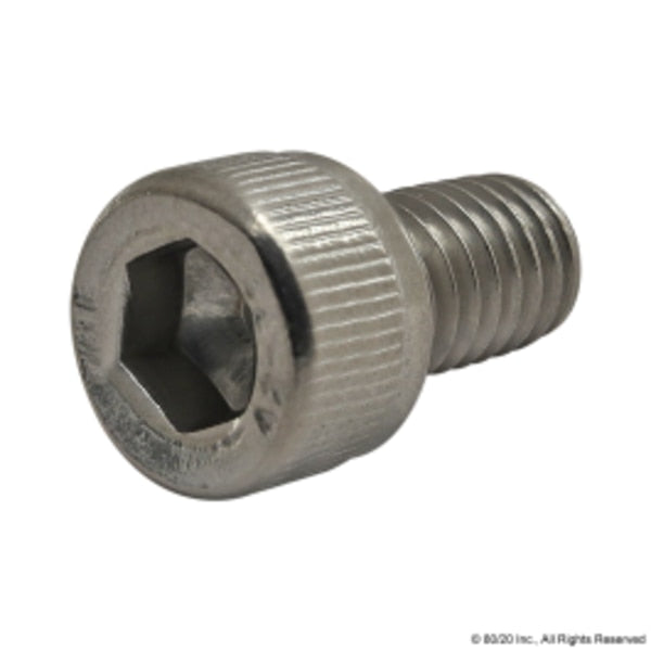 M6-1.00 Socket Head Cap Screw, Plain Stainless Steel, 10 mm Length
