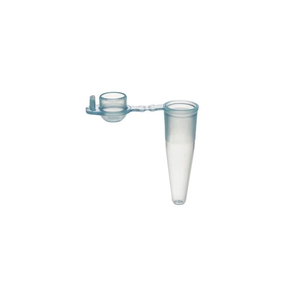 Amplitube 0.2ml PCR Tubes w/Dome, PK 1000