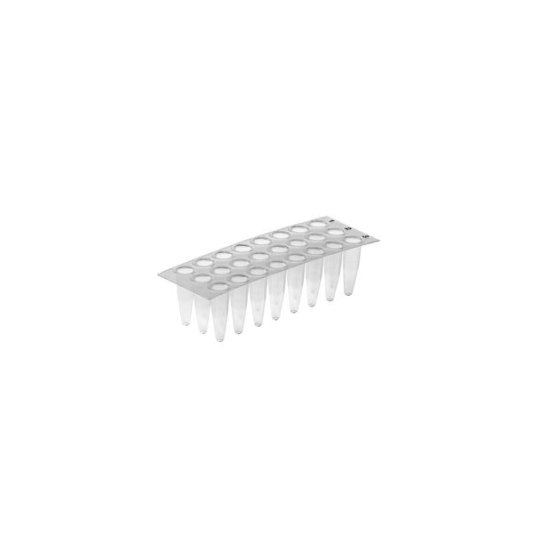 Simport Amplate 24-Well Thin Wall, PK 50