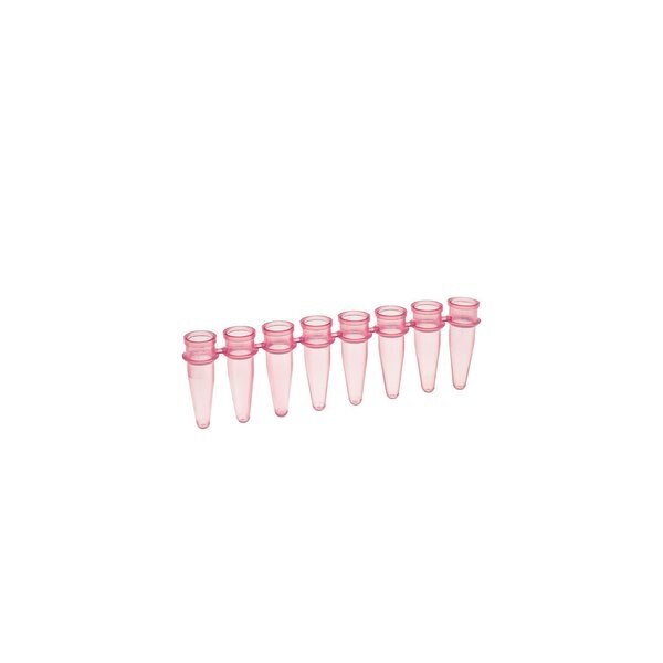 Amplate Thin-Wall Pink PCR Reacti, PK 125