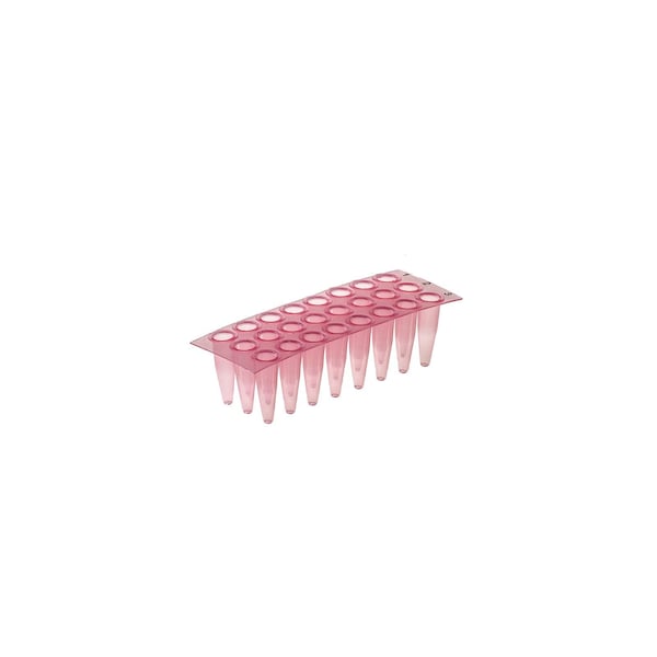 Simport Amplate 24-Well Thin Wall, PK 50