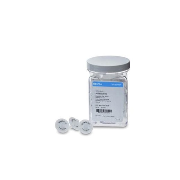 Puradisc 13 Syringe Filter, 0.2 u, PK 100