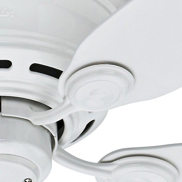Decorative Ceiling Fan, 42