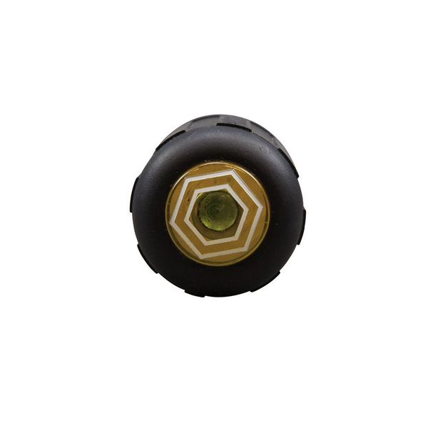 2-in-1 Nut Driver, Hex Head Slide Driveâ¢, 6-Inch