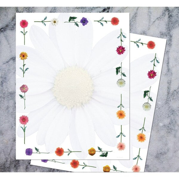 Stationery Letterhead, Daisies, 8, PK80