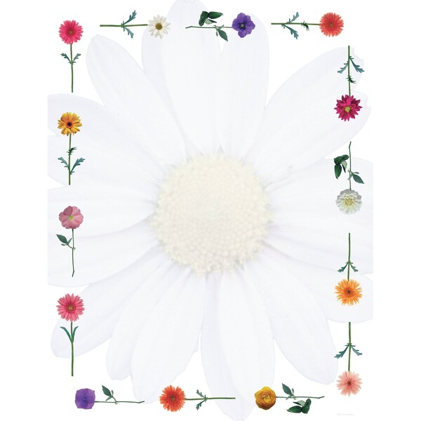 Stationery Letterhead, Daisies, 8, PK80