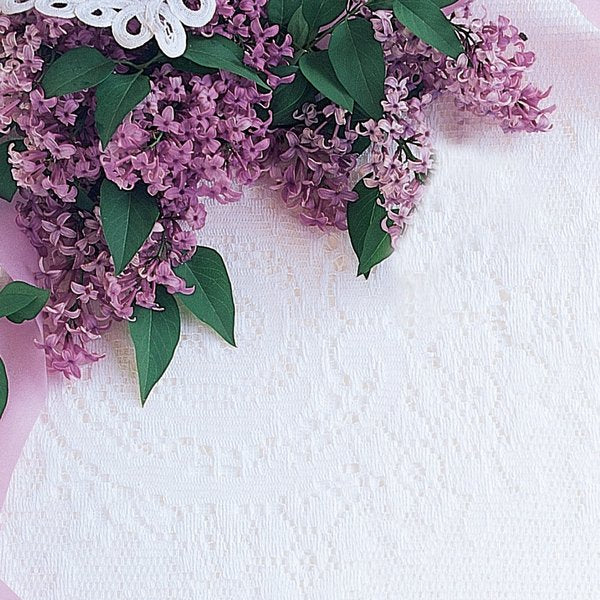 Stationery Letterhead, Lilacs And, PK80