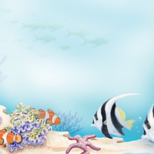Stationery Letterhead, Sea Life, 8, PK80