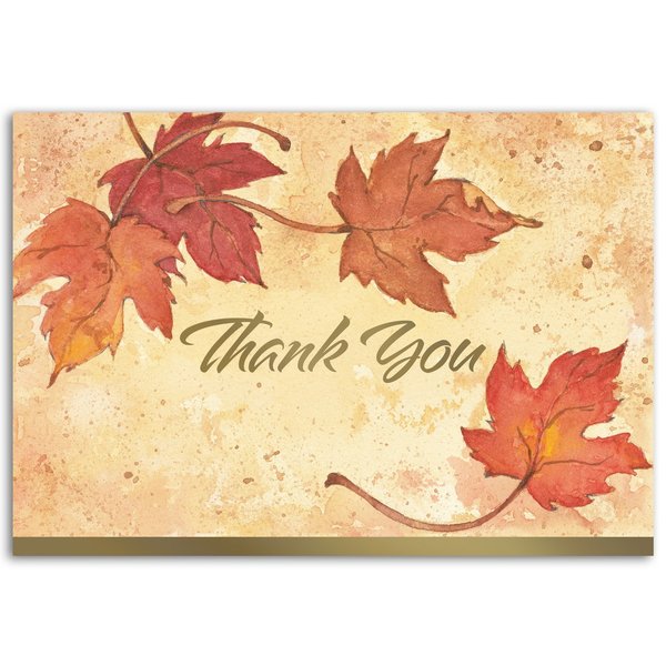 Note Card and Envelopes, Thank You, PK50
