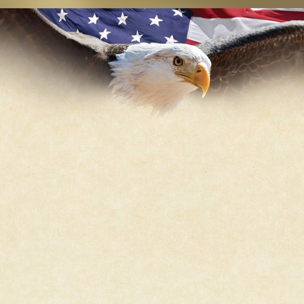 Certificate Gold Foil, Flying Eagl, PK15
