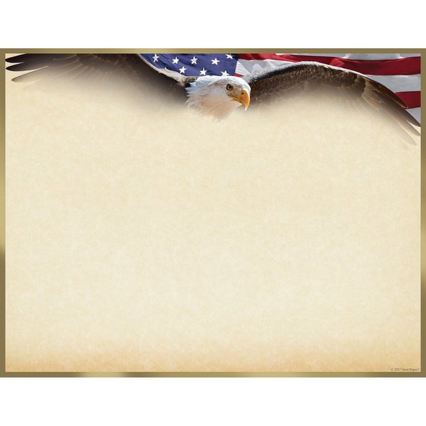 Certificate Gold Foil, Flying Eagl, PK15