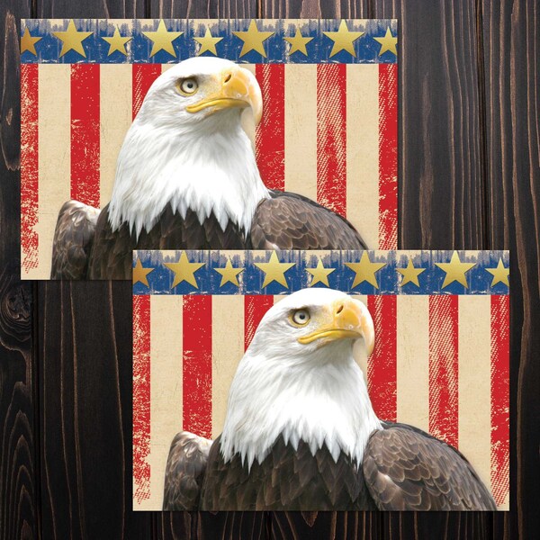 Note Card W/Envelope, Patriotic W/G, PK20
