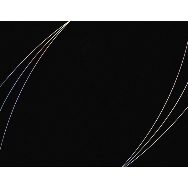 Certificate Cover Petal Touch, Black, PK5