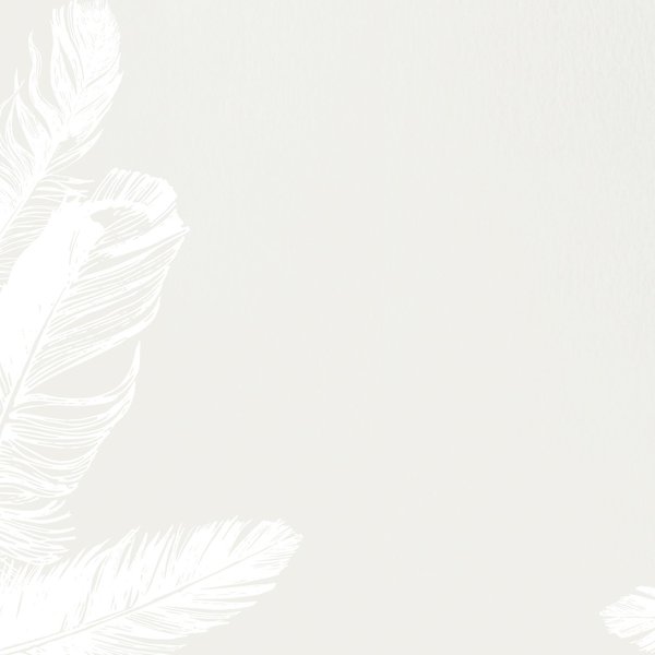 Stationery Letterhead, Soft Feathe, PK80