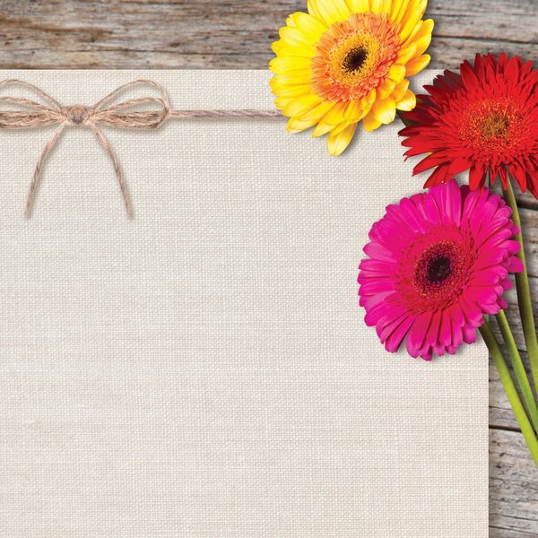 Stationery Letterhead, Three Gerbe, PK80